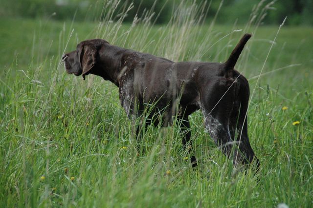 DSC_0852 [640x480].JPG