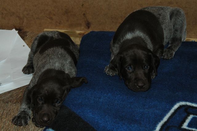 DSC_0012 [640x480].JPG