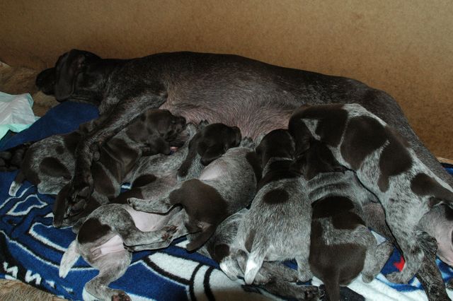 DSC_0027 [640x480].JPG